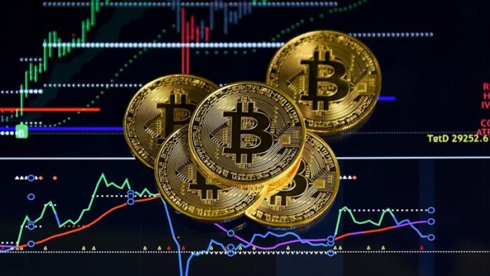 Die Revolution der Logistik mit Vertex Trize